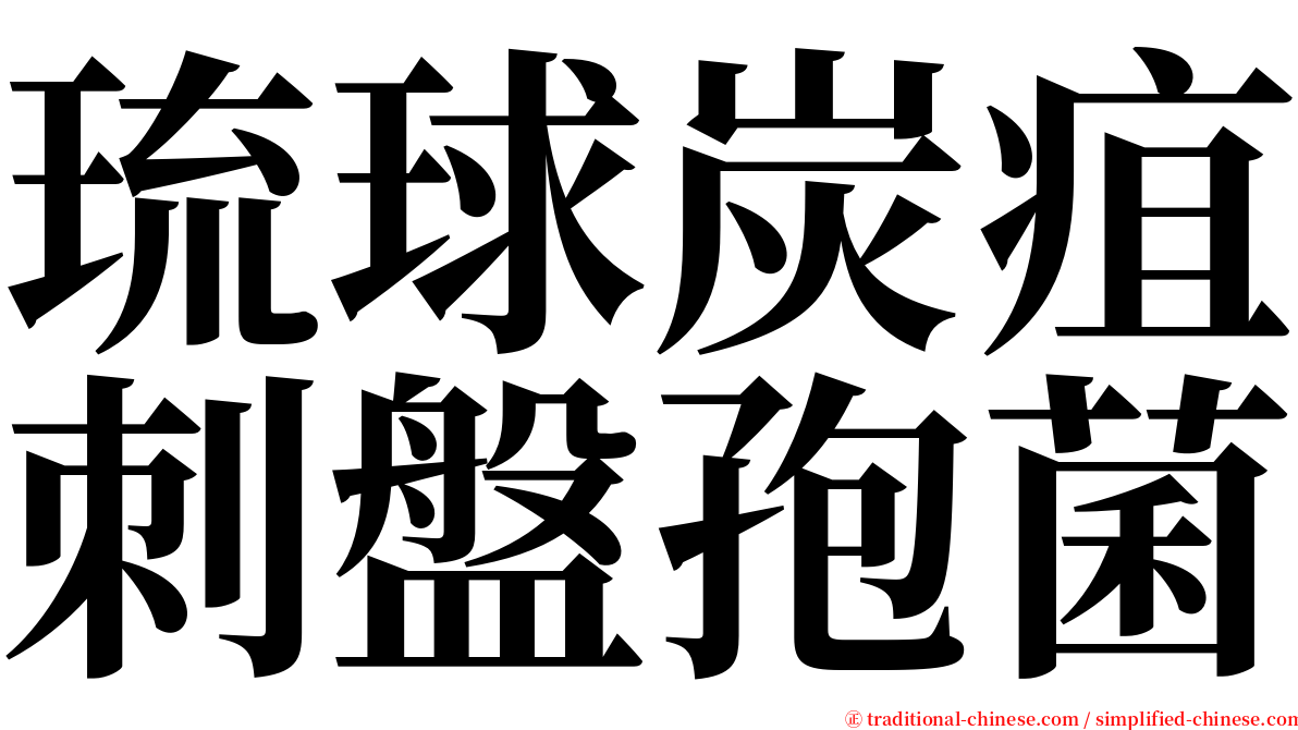 琉球炭疽刺盤孢菌 serif font