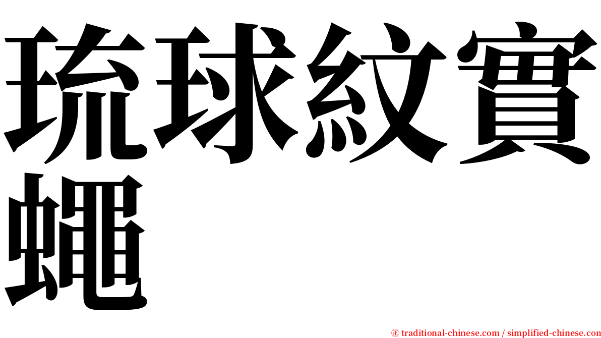 琉球紋實蠅 serif font