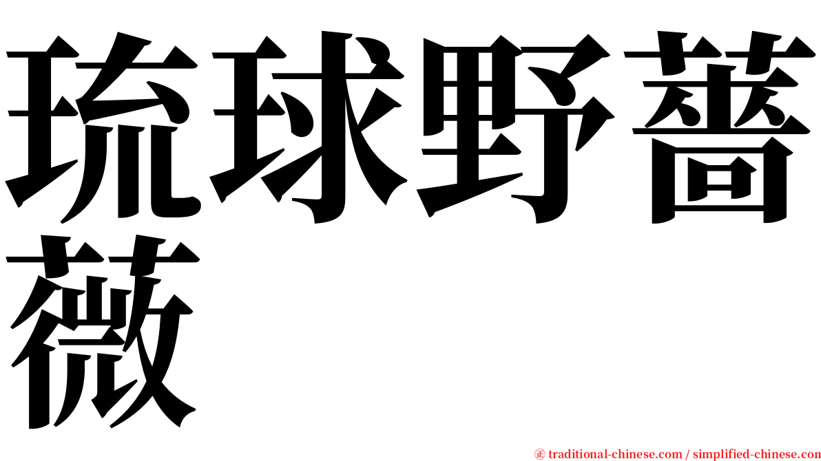 琉球野薔薇 serif font