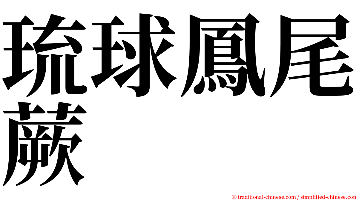 琉球鳳尾蕨 serif font