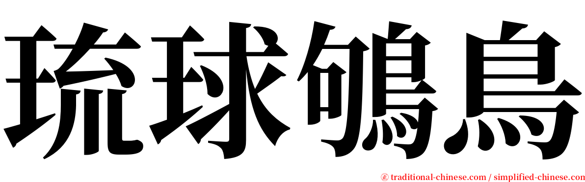 琉球鴝鳥 serif font