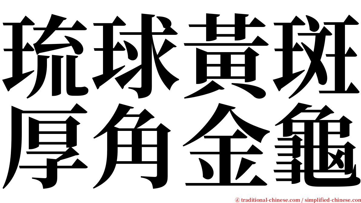 琉球黃斑厚角金龜 serif font