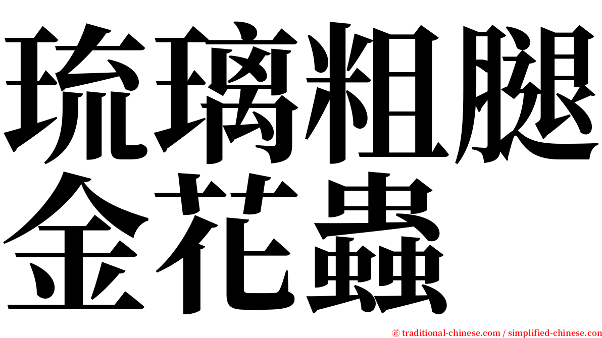 琉璃粗腿金花蟲 serif font