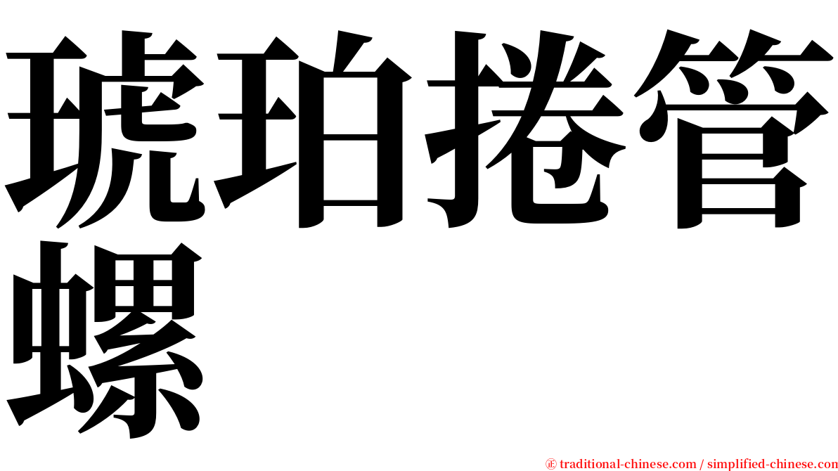 琥珀捲管螺 serif font