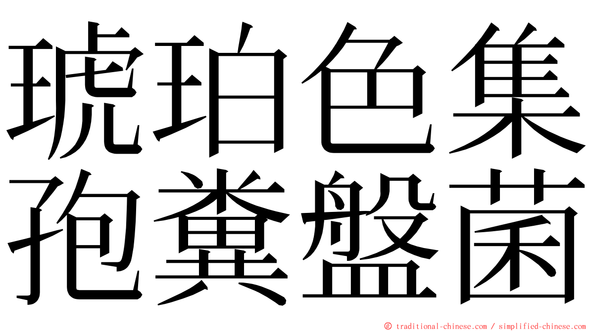 琥珀色集孢糞盤菌 ming font