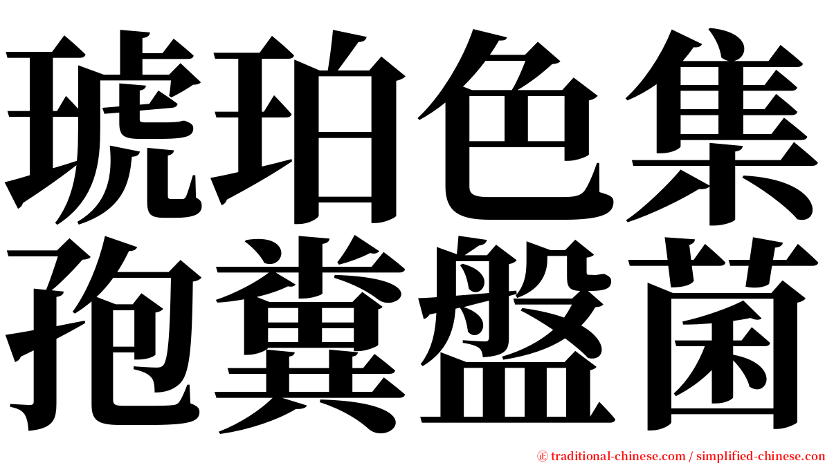 琥珀色集孢糞盤菌 serif font