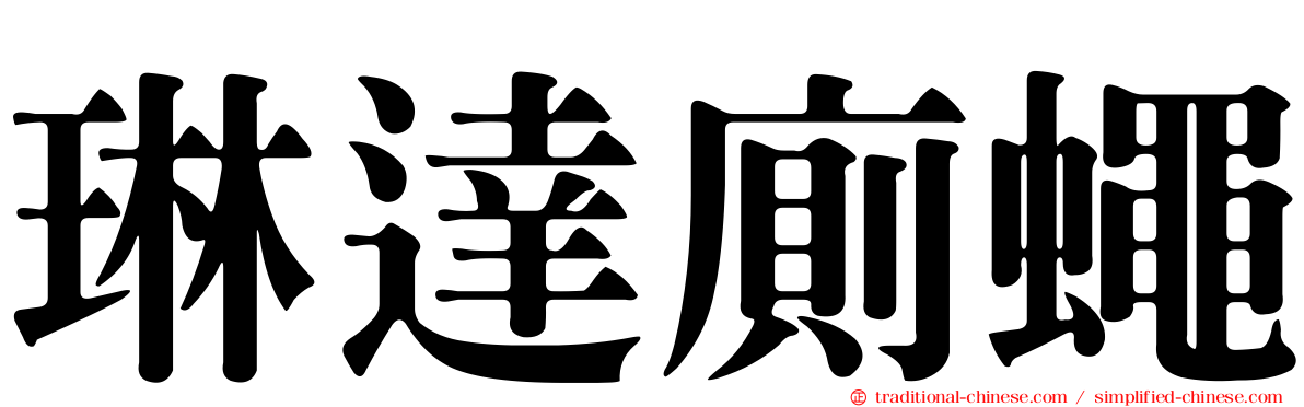 琳達廁蠅