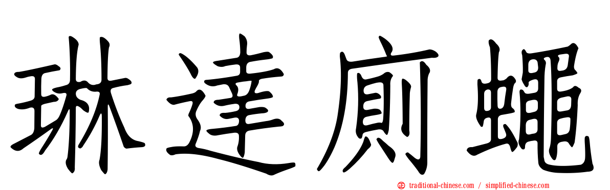 琳達廁蠅