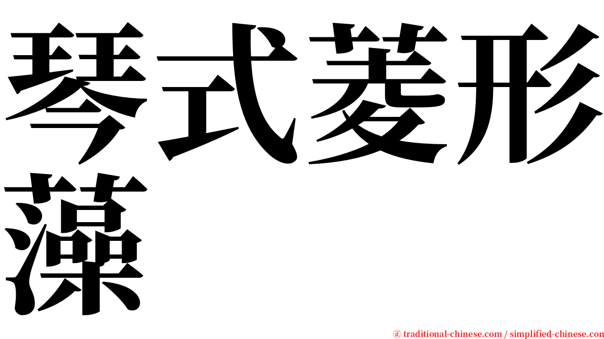 琴式菱形藻 serif font