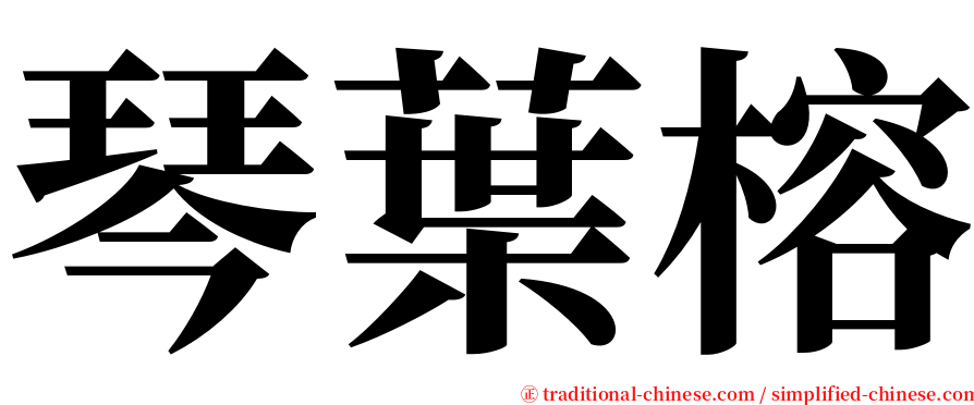 琴葉榕 serif font