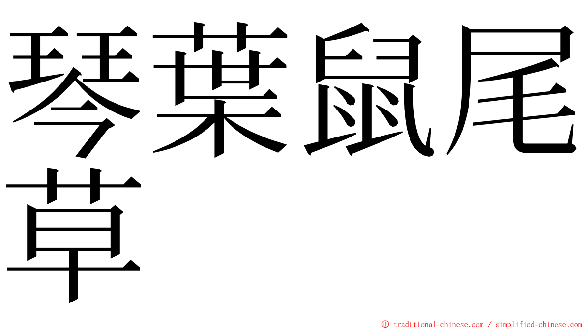 琴葉鼠尾草 ming font