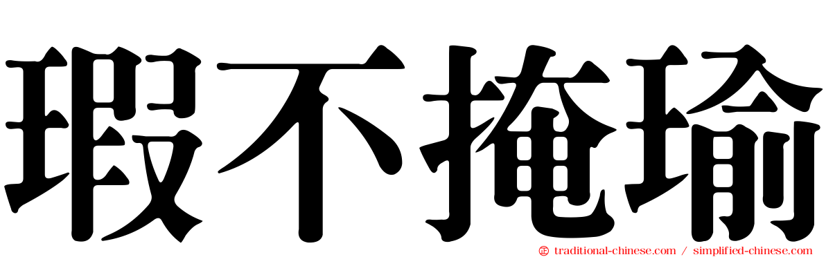 瑕不掩瑜