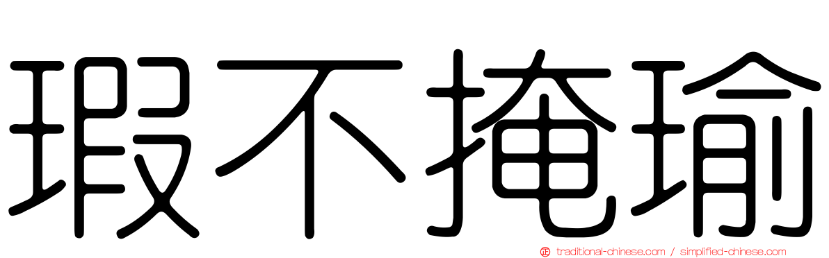 瑕不掩瑜