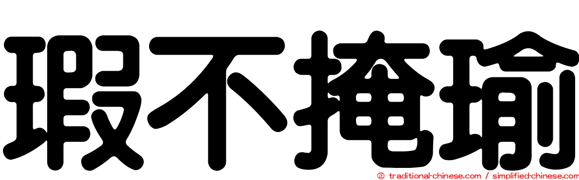 瑕不掩瑜