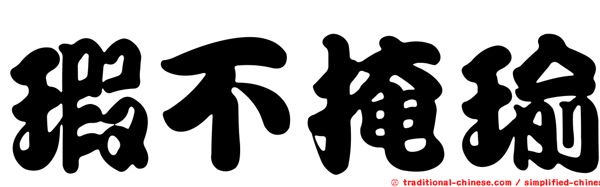 瑕不掩瑜