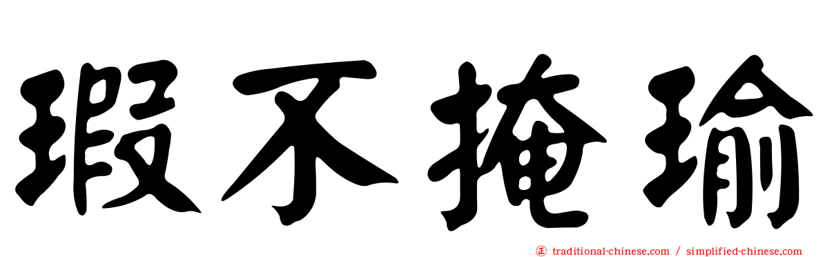瑕不掩瑜