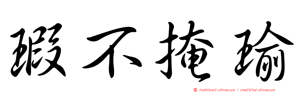 瑕不掩瑜