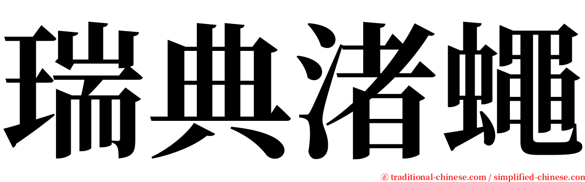 瑞典渚蠅 serif font