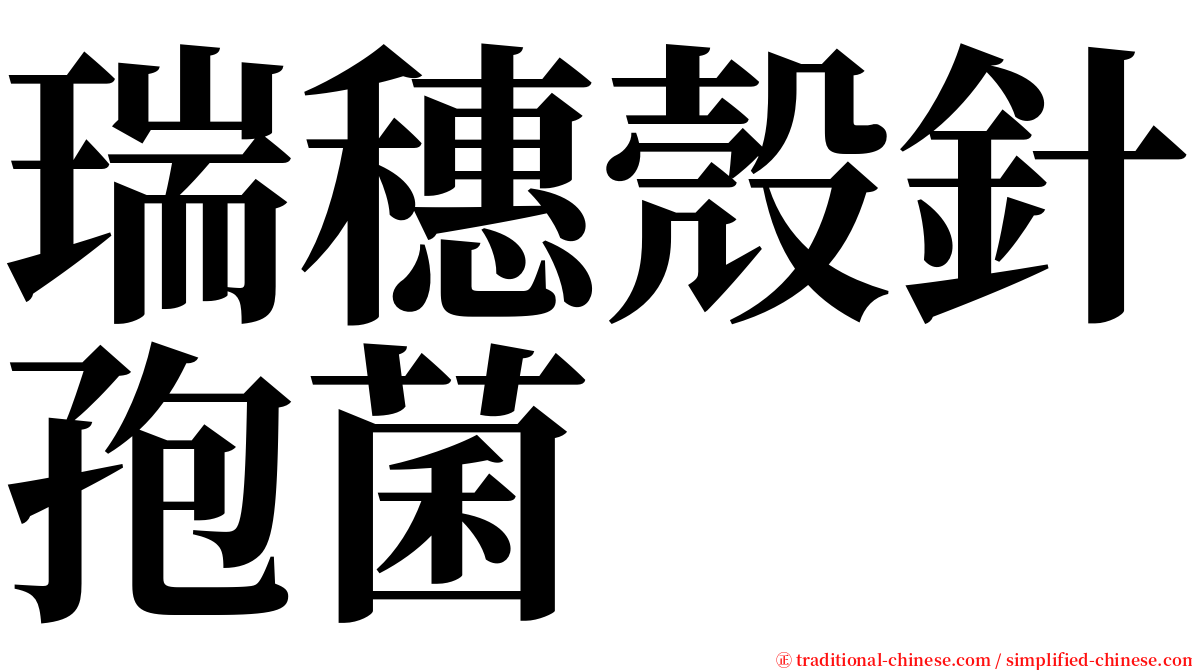 瑞穗殼針孢菌 serif font