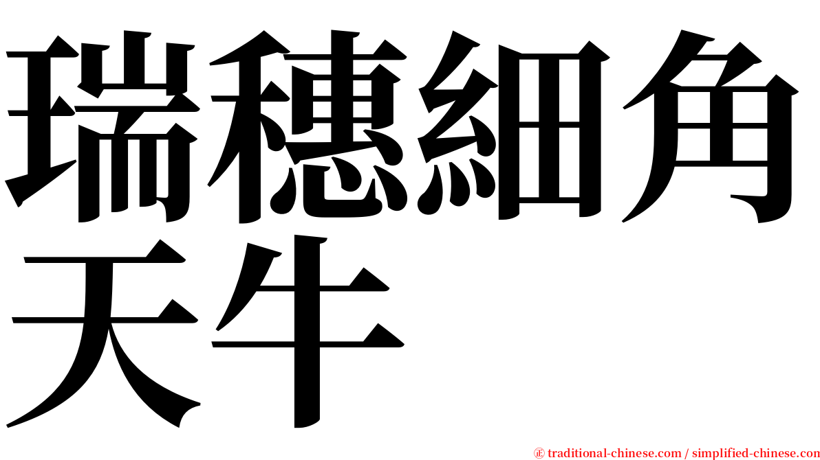 瑞穗細角天牛 serif font