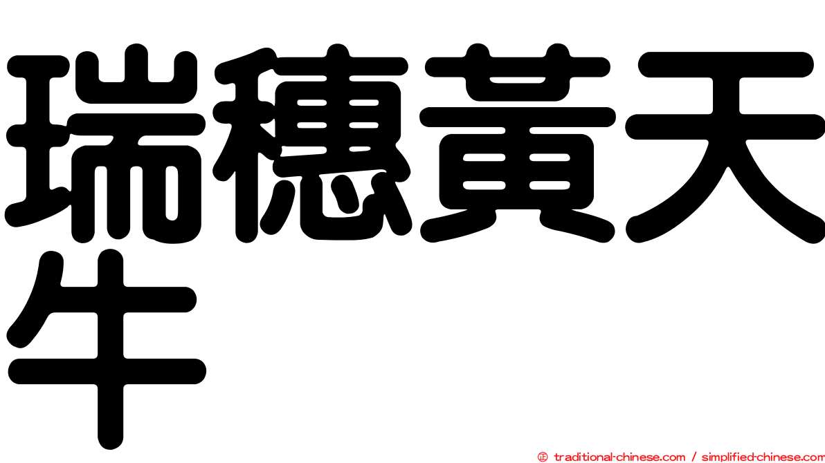 瑞穗黃天牛
