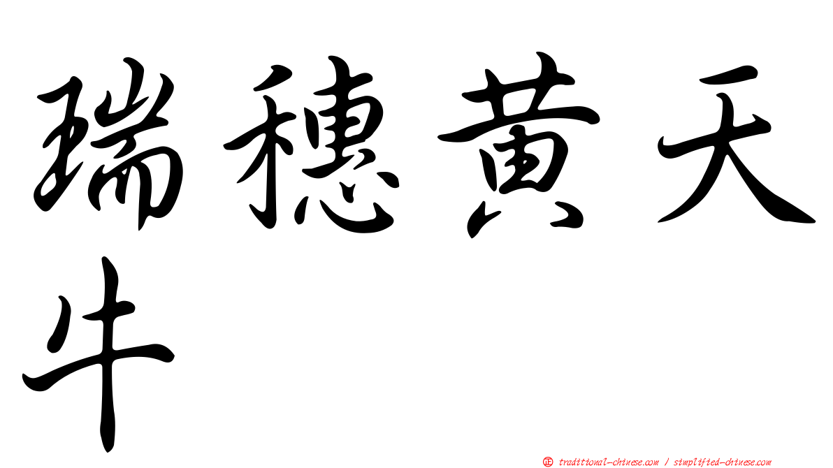 瑞穗黃天牛