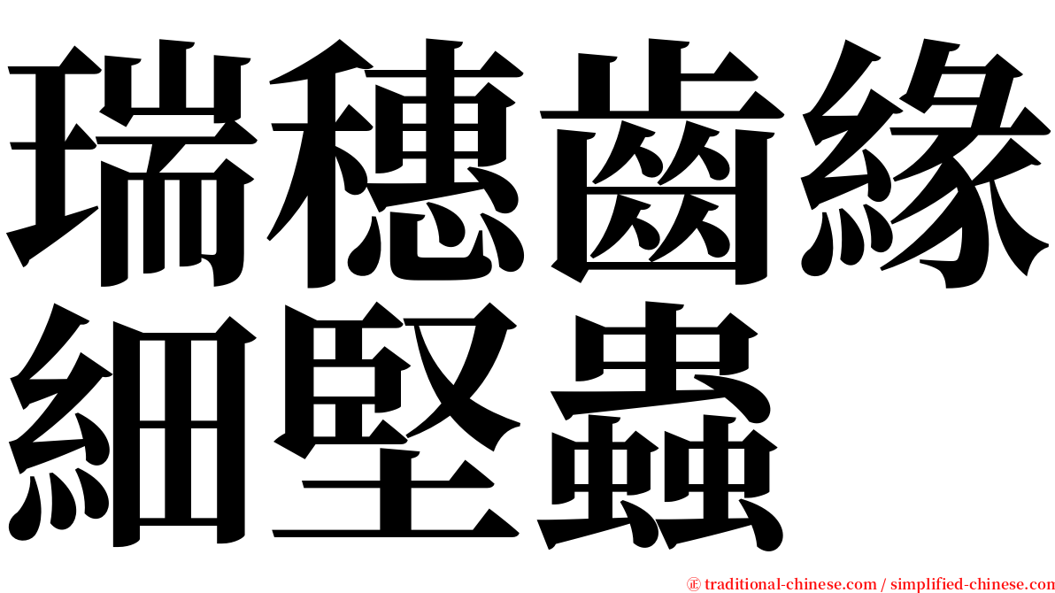 瑞穗齒緣細堅蟲 serif font