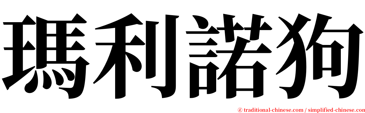 瑪利諾狗 serif font