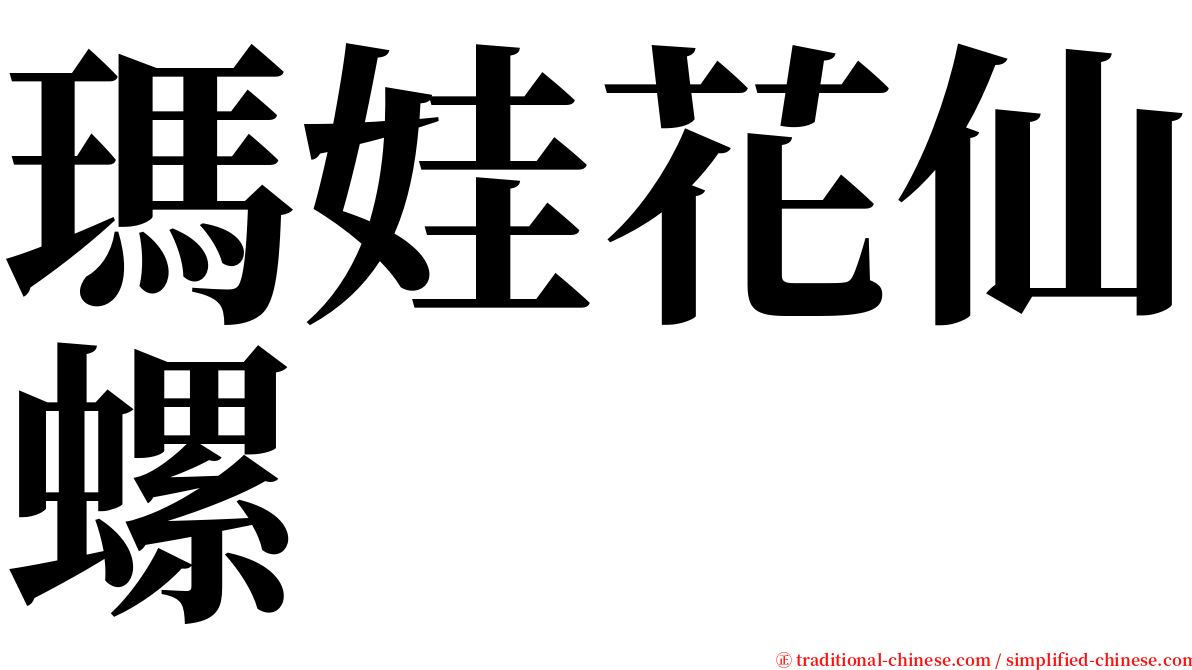 瑪娃花仙螺 serif font