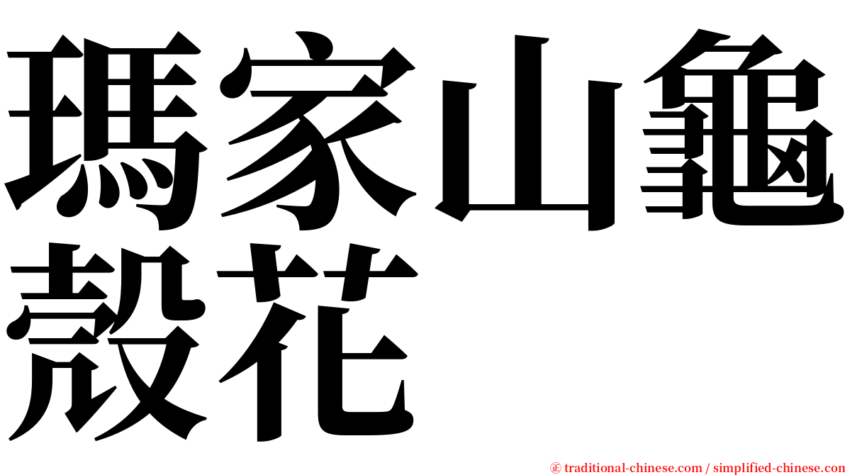 瑪家山龜殼花 serif font