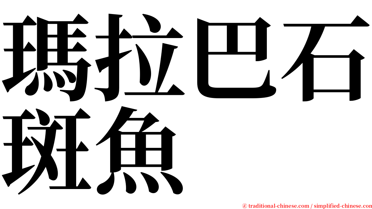 瑪拉巴石斑魚 serif font