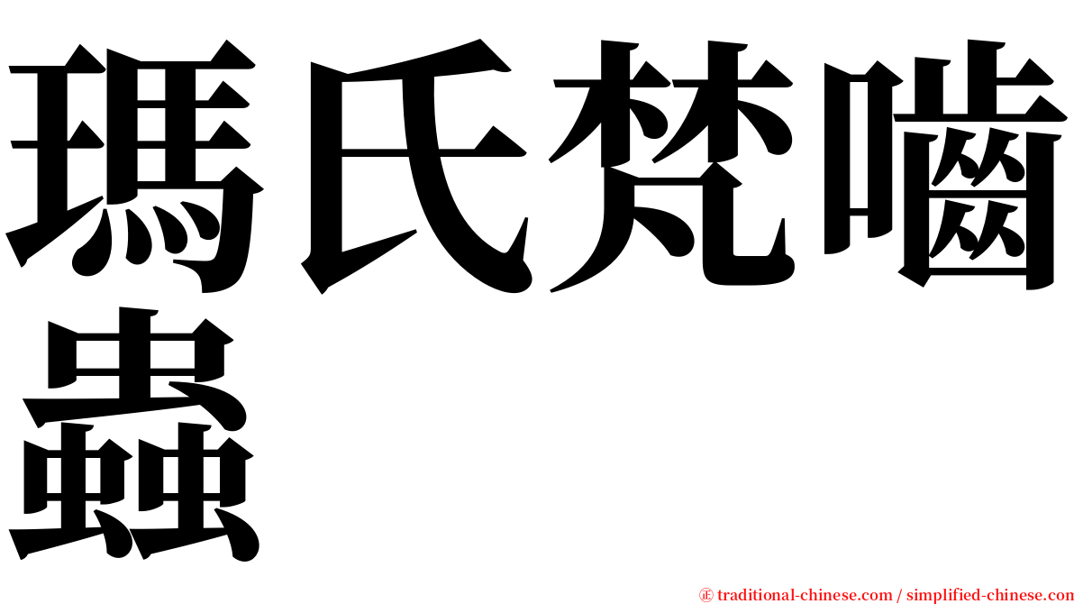 瑪氏梵嚙蟲 serif font