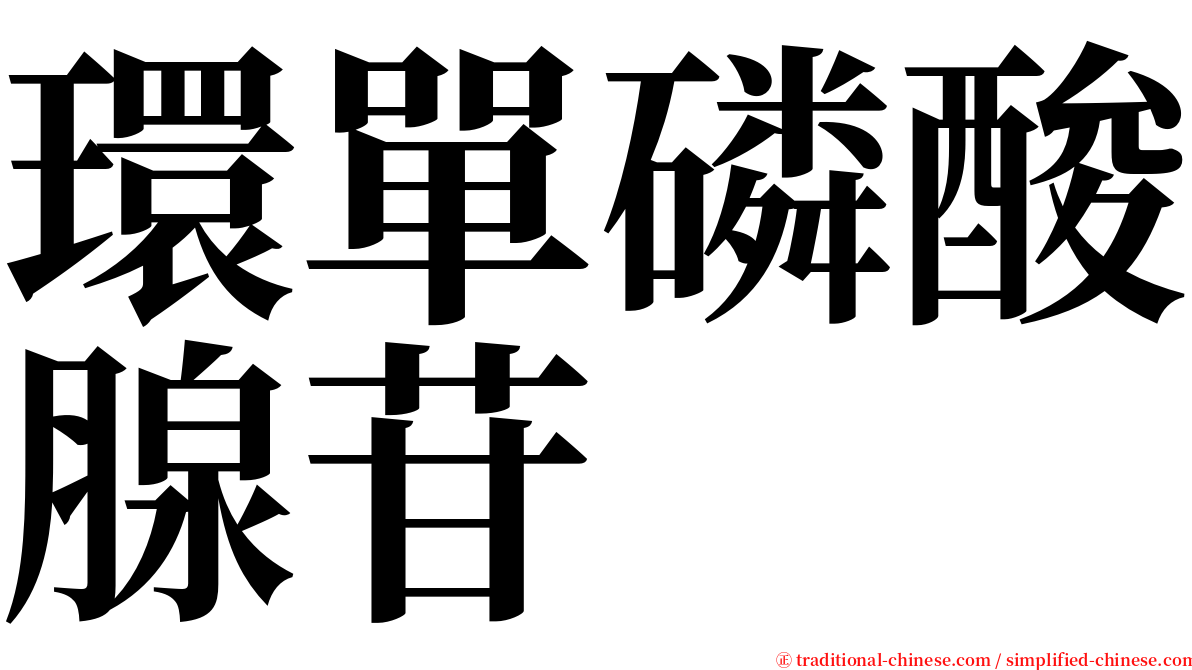 環單磷酸腺苷 serif font