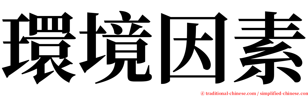 環境因素 serif font