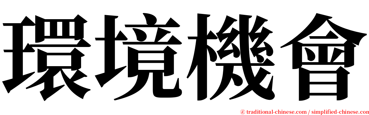 環境機會 serif font