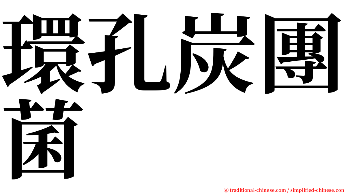 環孔炭團菌 serif font