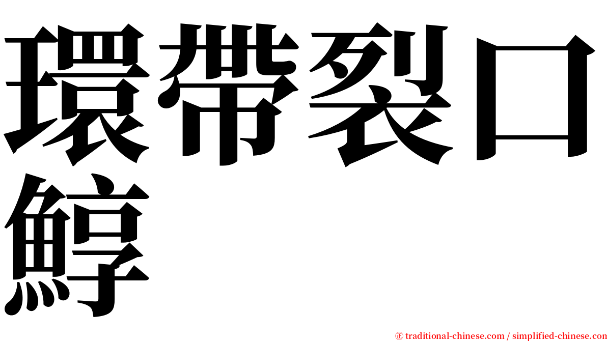 環帶裂口鯙 serif font