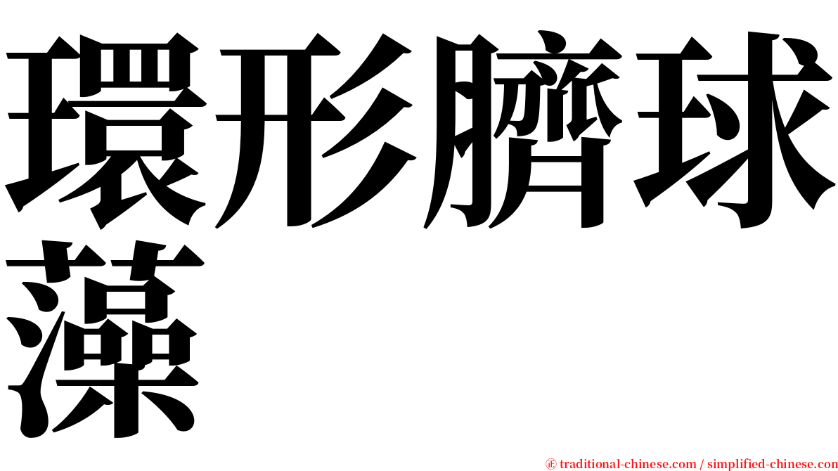 環形臍球藻 serif font