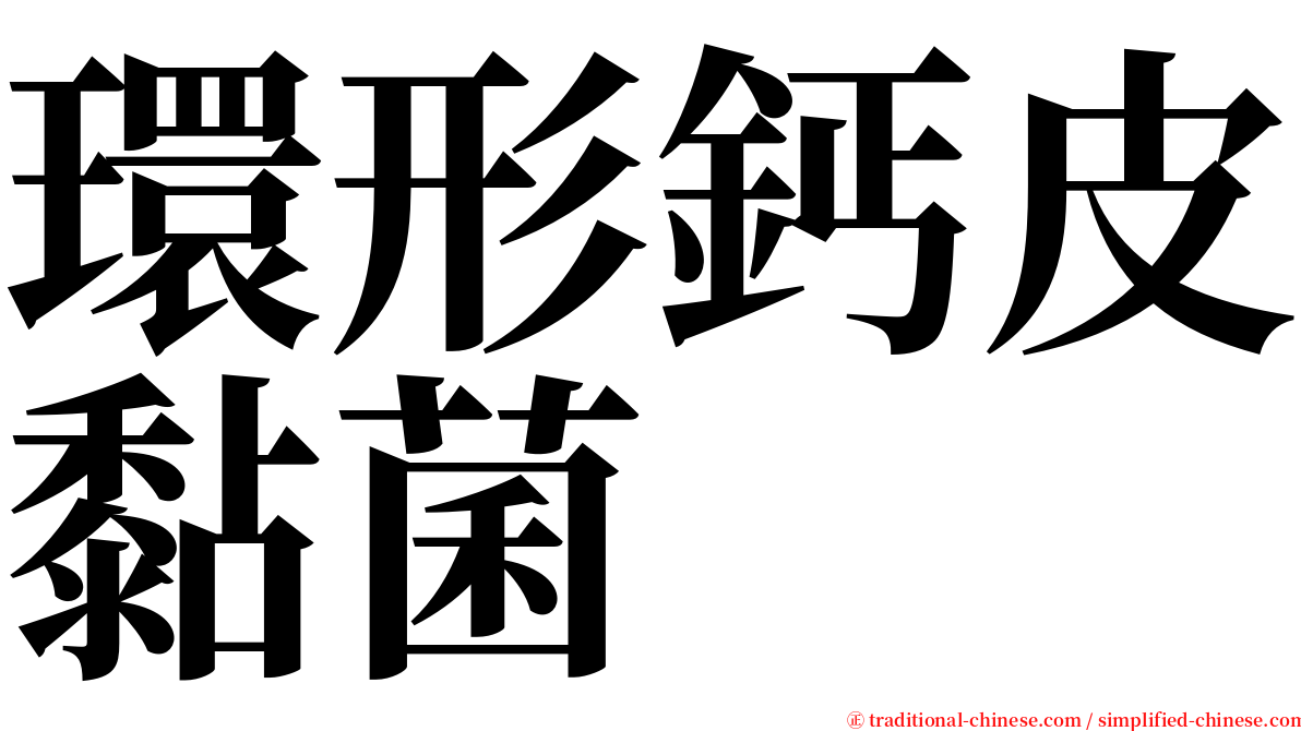 環形鈣皮黏菌 serif font