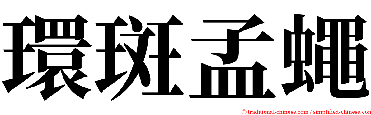 環斑孟蠅 serif font