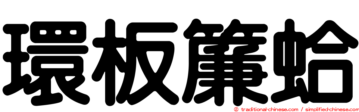 環板簾蛤