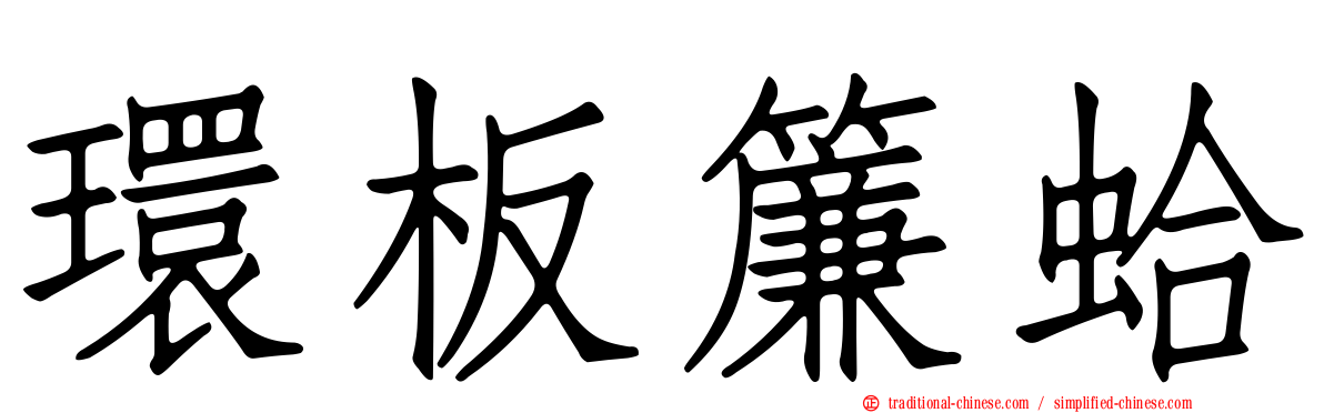 環板簾蛤