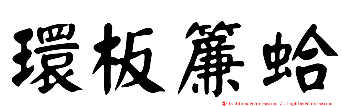 環板簾蛤