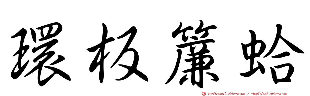 環板簾蛤