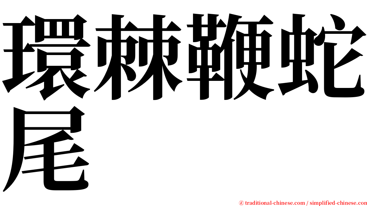 環棘鞭蛇尾 serif font