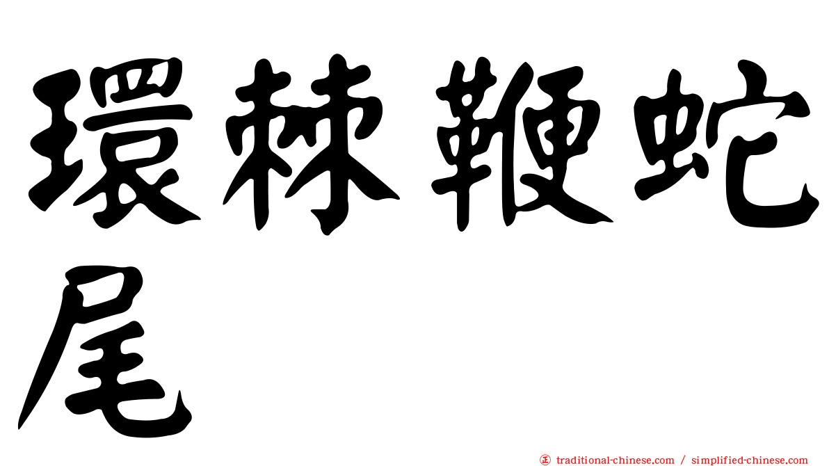 環棘鞭蛇尾