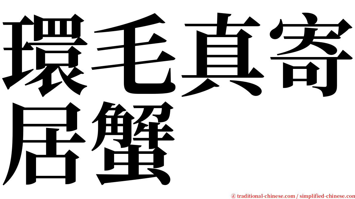 環毛真寄居蟹 serif font