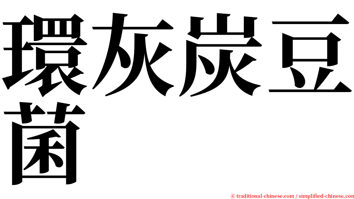 環灰炭豆菌 serif font