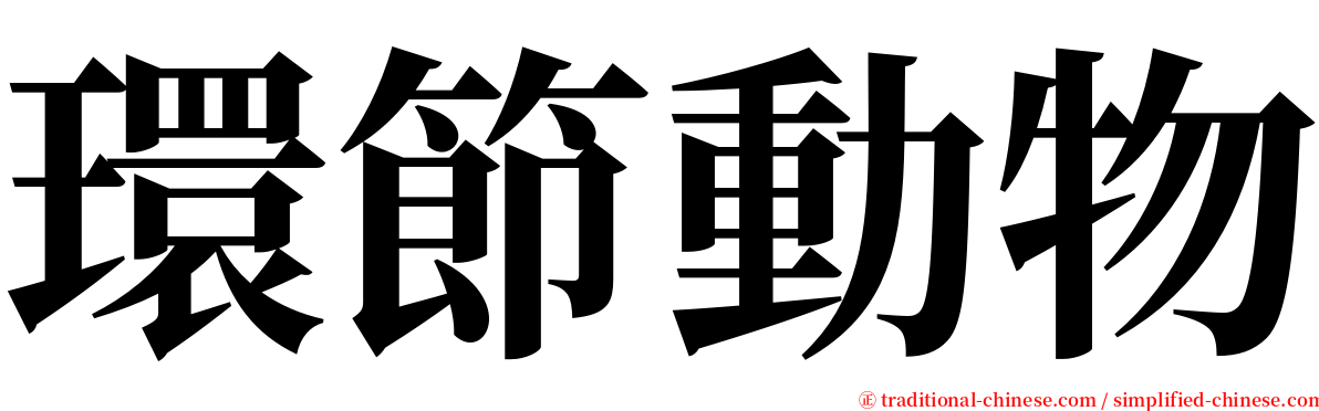 環節動物 serif font