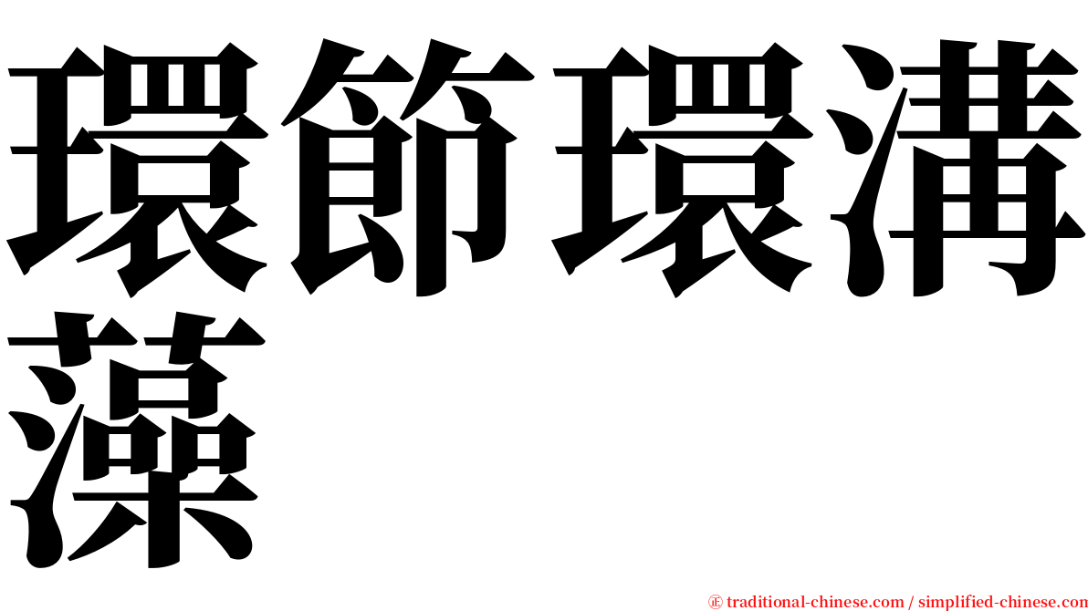 環節環溝藻 serif font